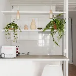Vertus Apartament *
